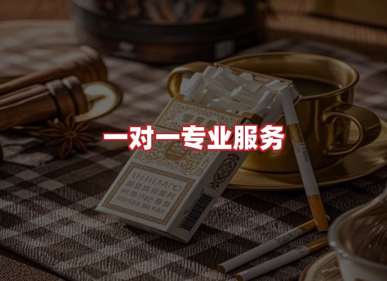 专业团队